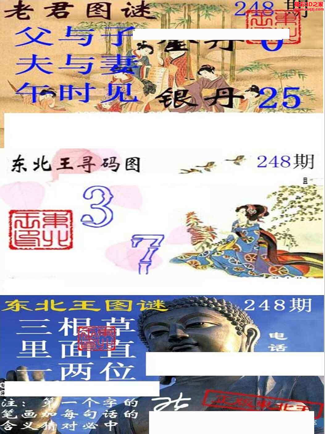 3d15248期东北王图谜