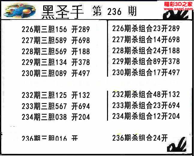 3d16236期黑圣手独胆