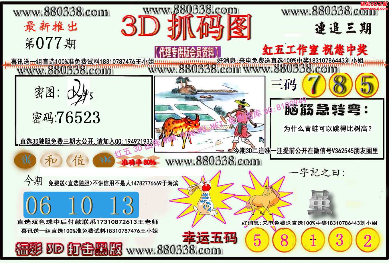 3d17077期红五抓码王