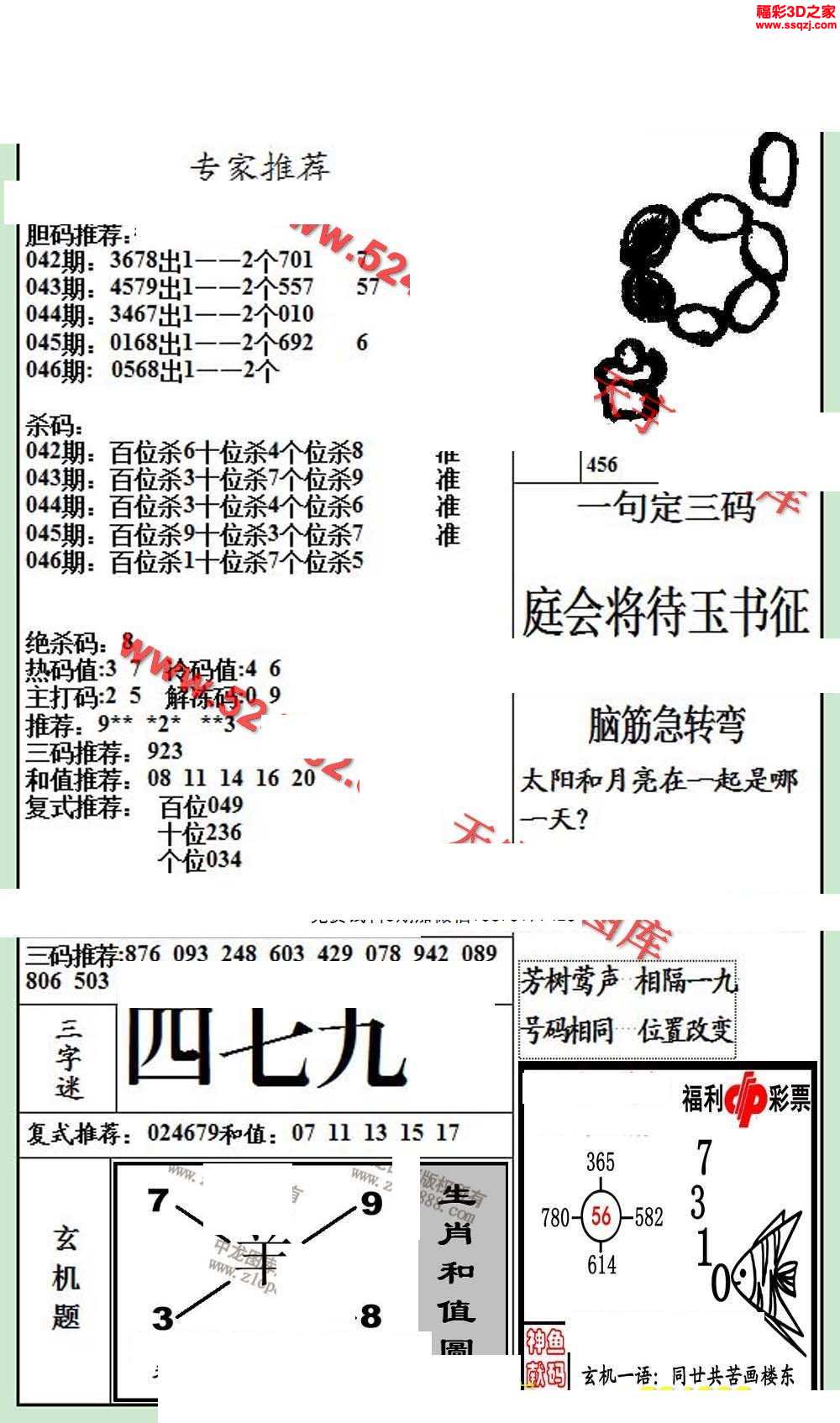 3d19046期银海布衣图