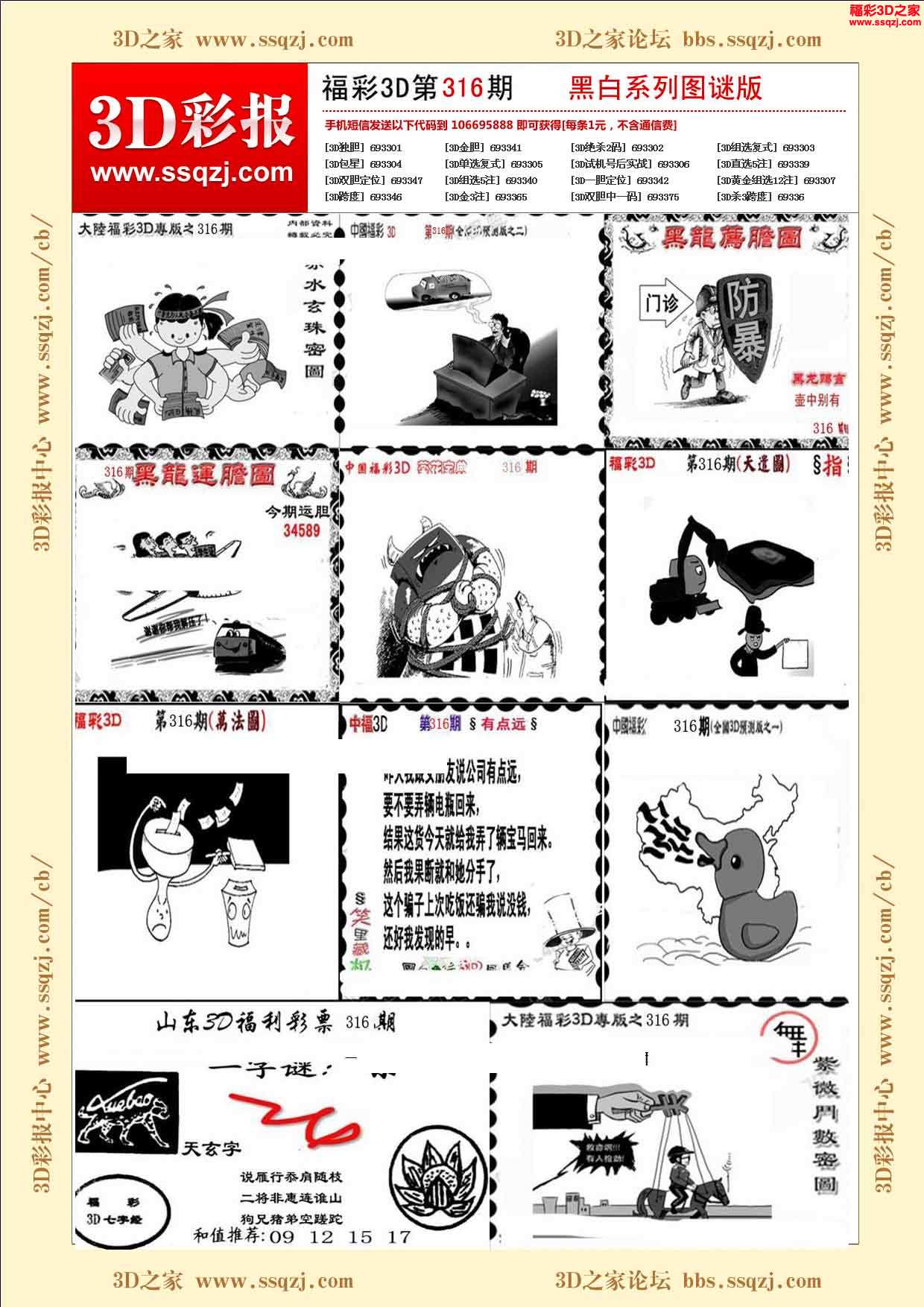 3d316期黑白系列图谜版