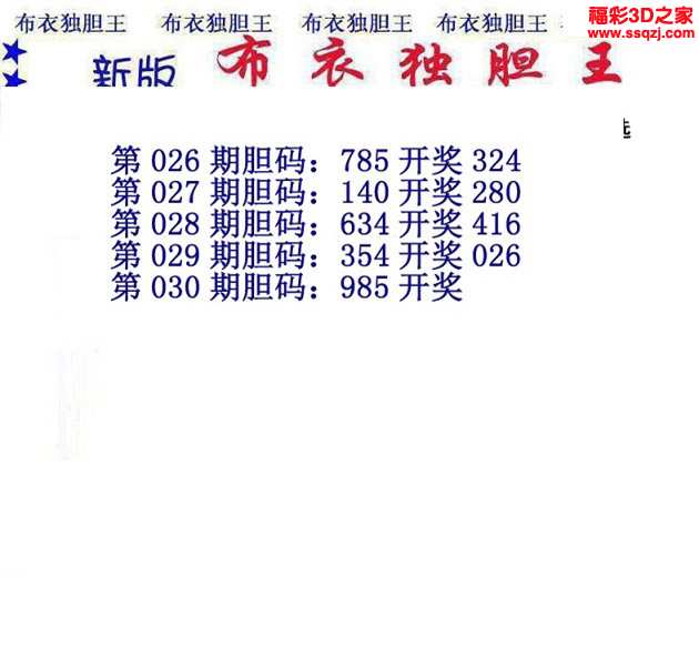 3d16030期布衣独胆王