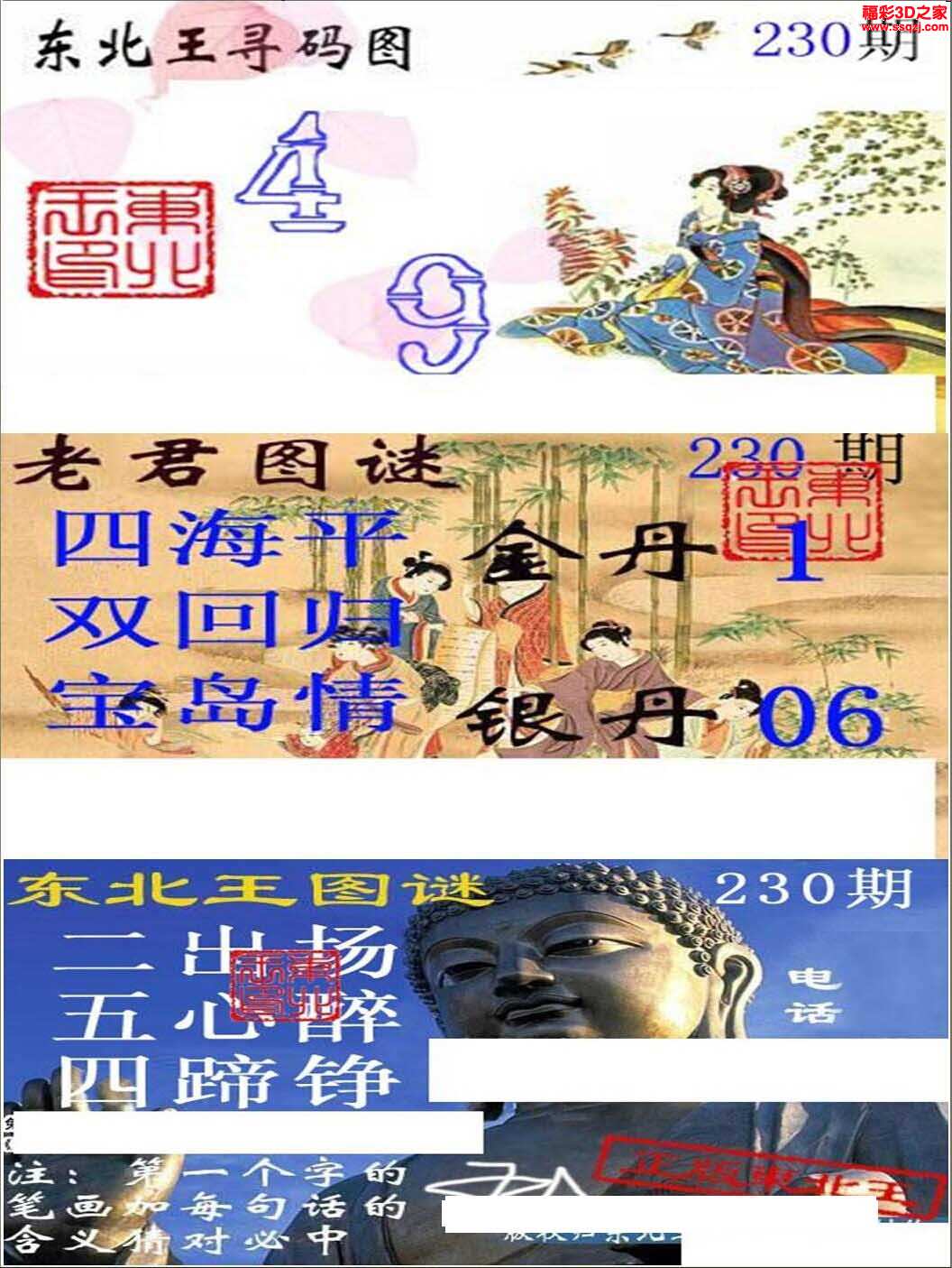 3d16230期东北王图谜
