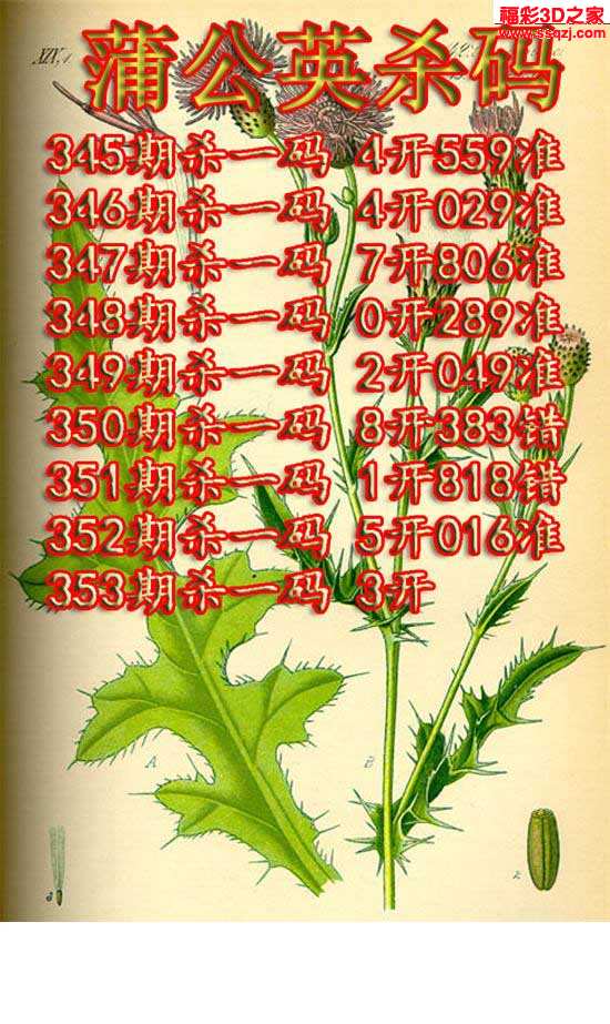 3d16353期蒲公英杀码