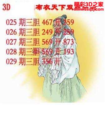 3d17029期布衣天下双胆 中9