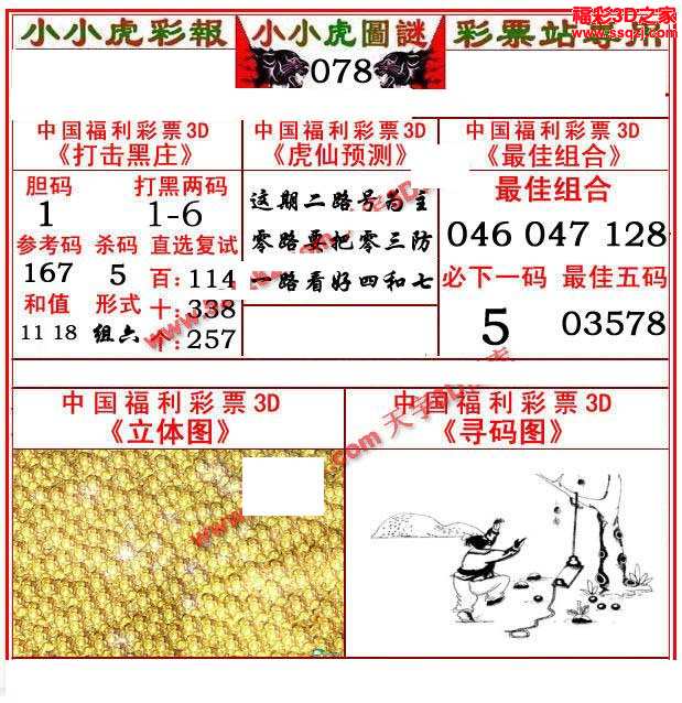 3d17078期小小虎12