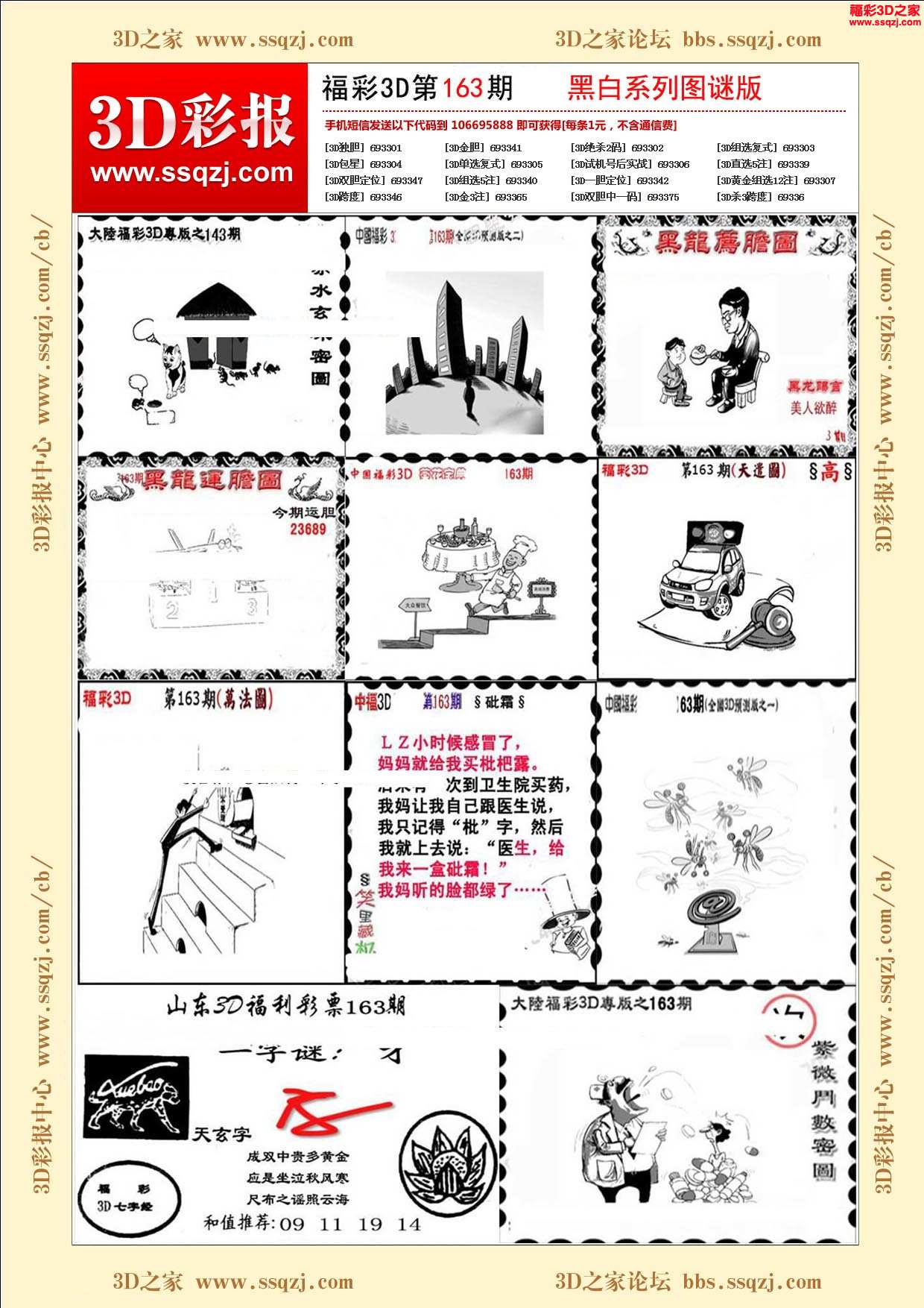 3d17163期黑白系列图谜版