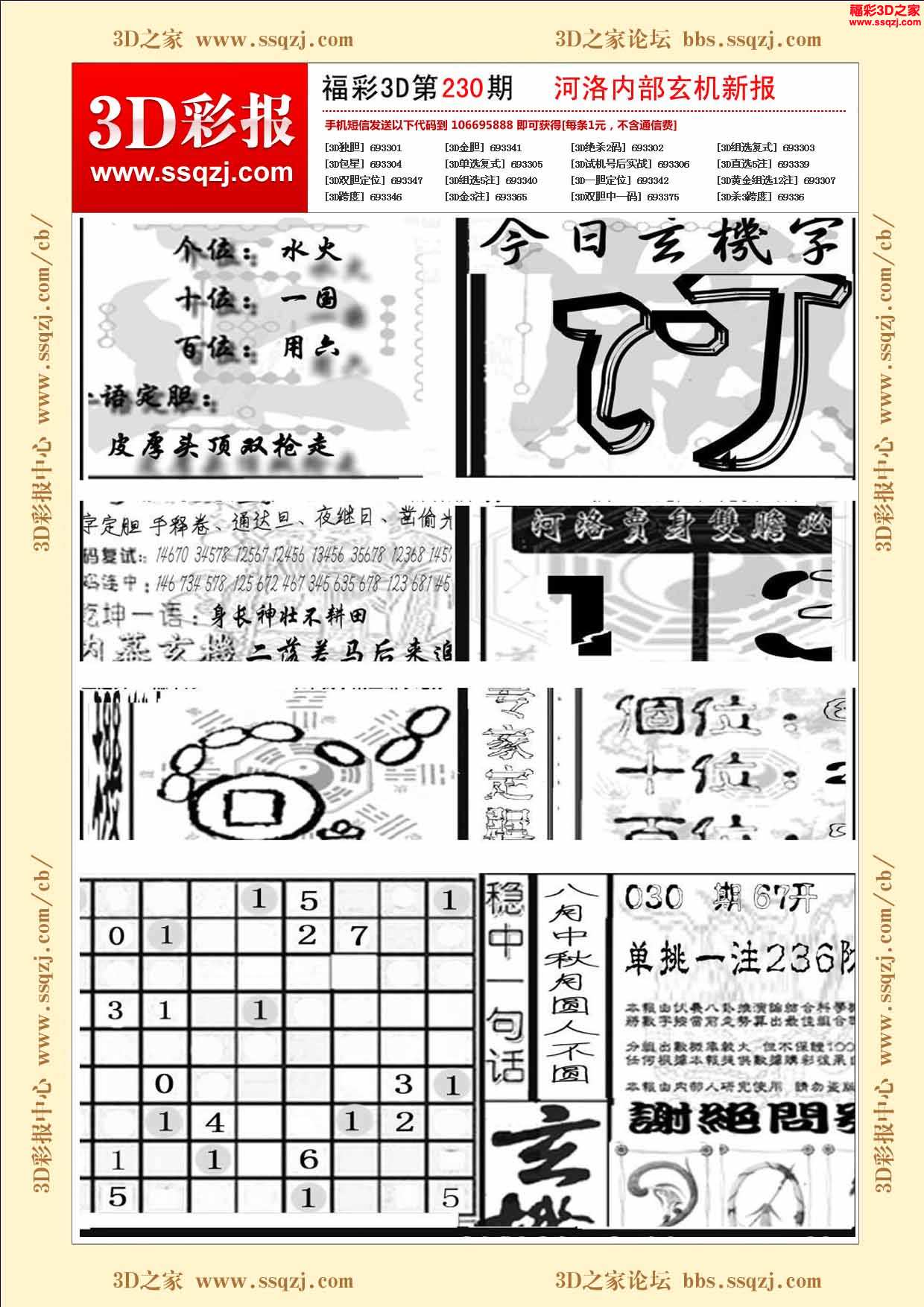 3d17230期河洛内部玄机新报