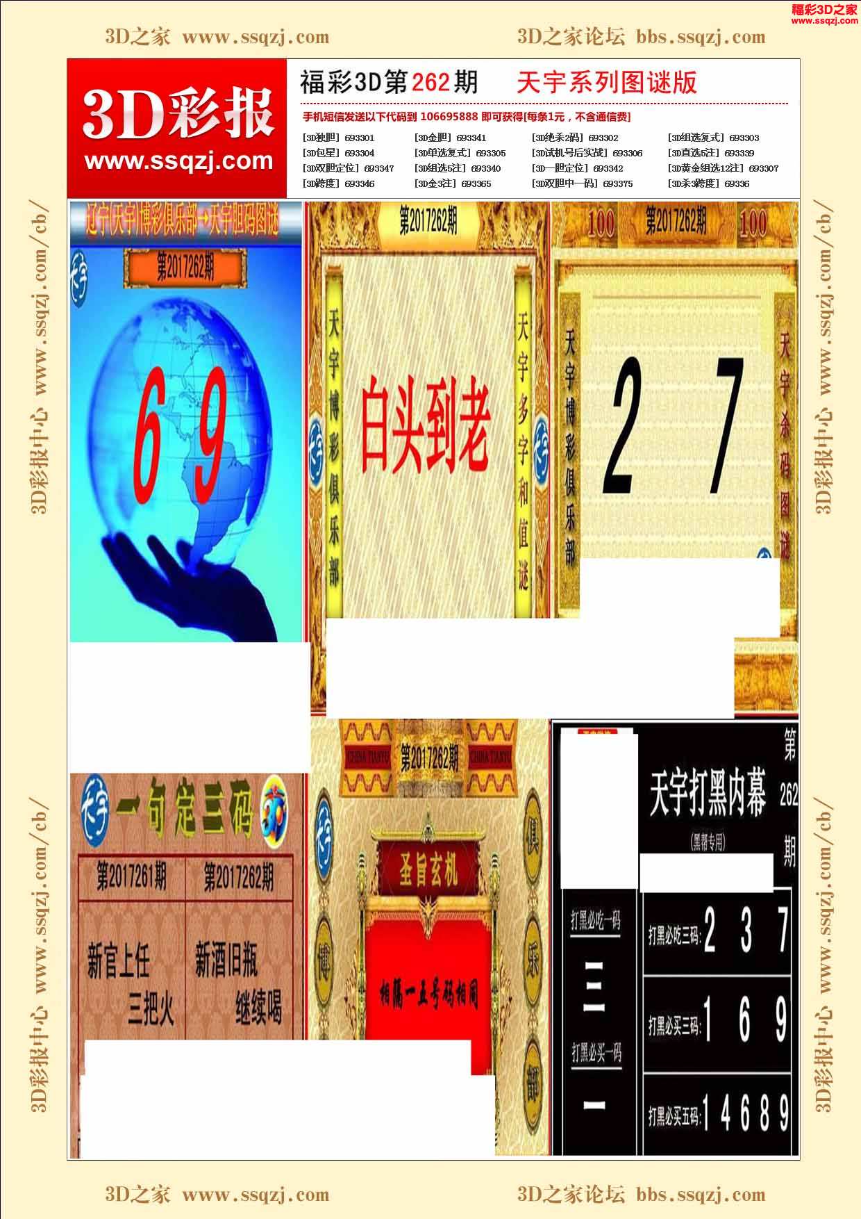 3d17262期天宇系列图谜版