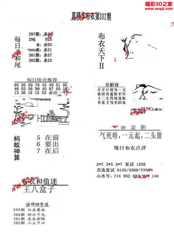 3d17302期真精华布衣天下123456