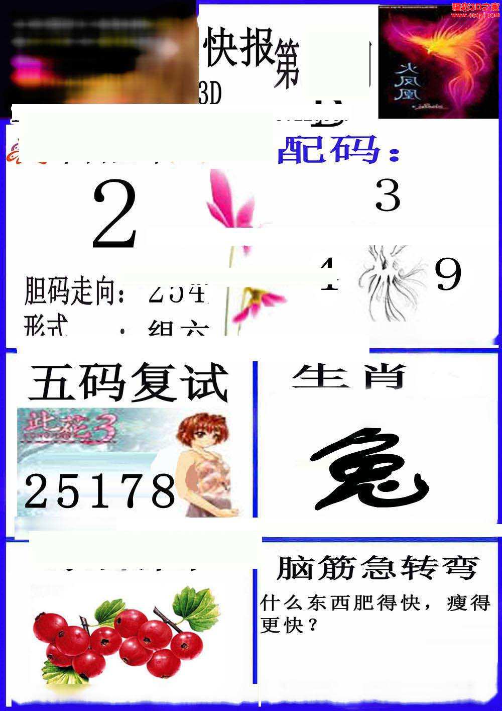 3d2024280期凤凰快报ab版