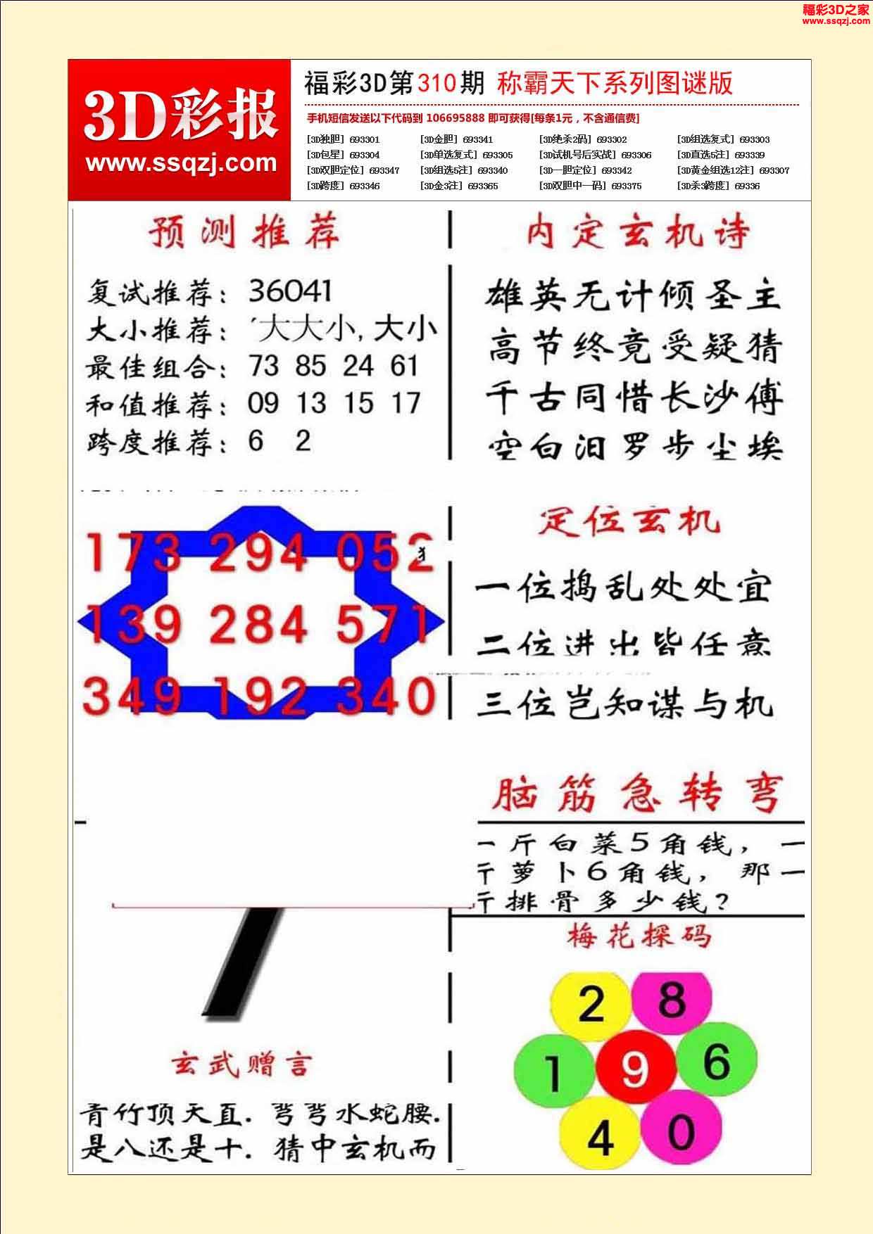 丹东全图3d图谜310期图片